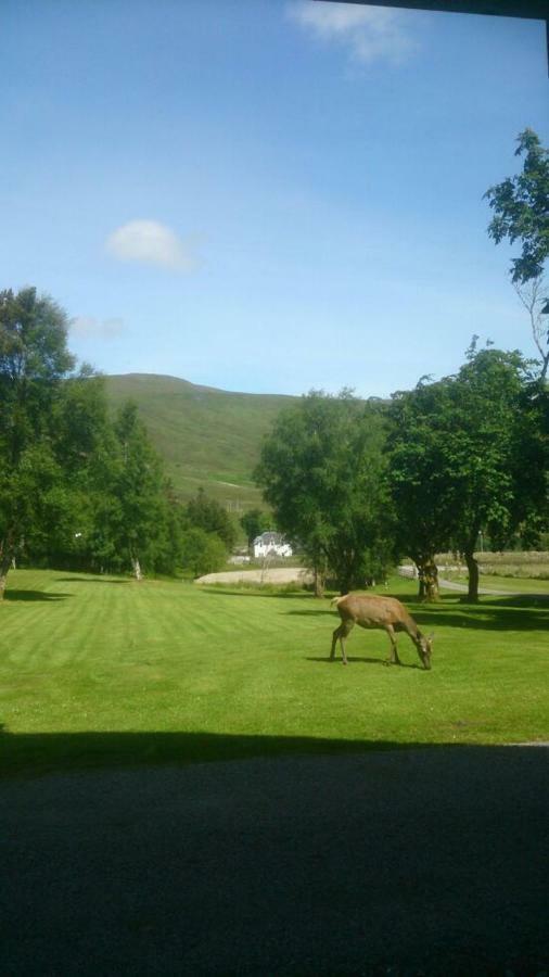 Ledgowan Lodge Hotel Achnasheen Bagian luar foto